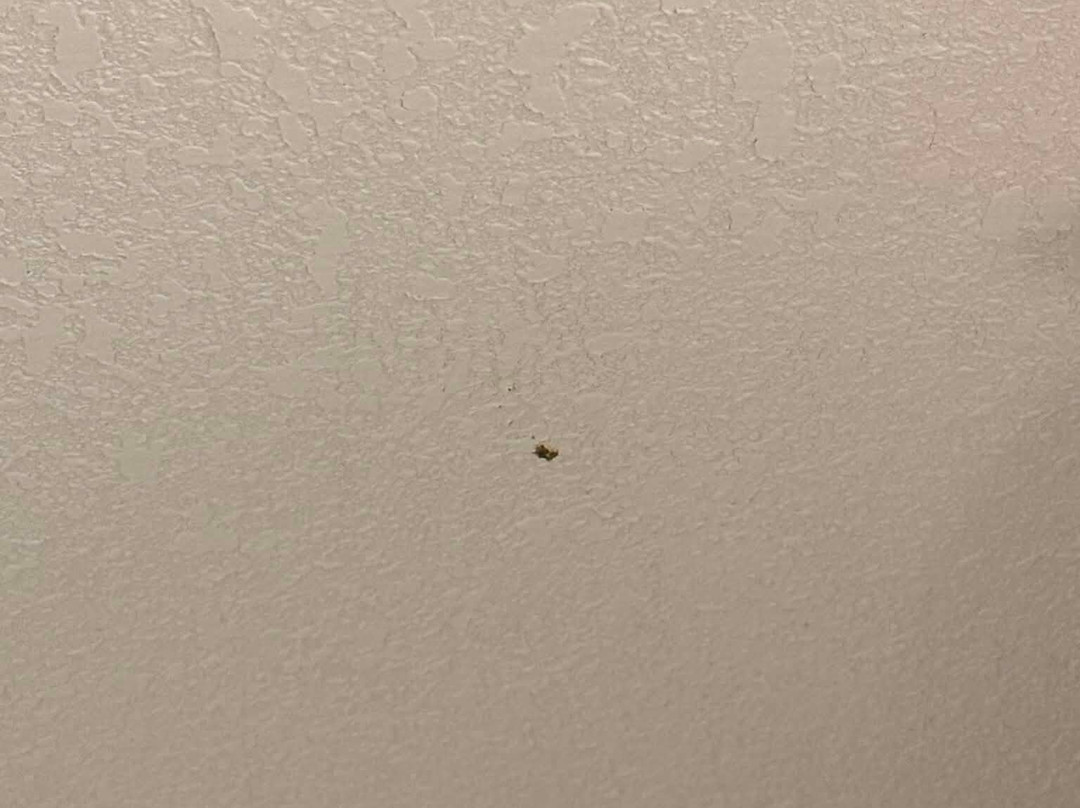 湖滨度假酒店及会议中心主图