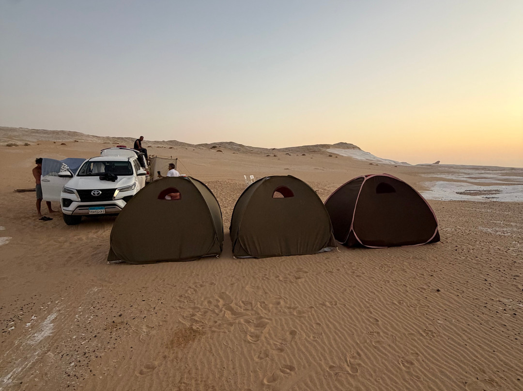 CHECK IN EGYPT-Bahariya Oasis必去景点
