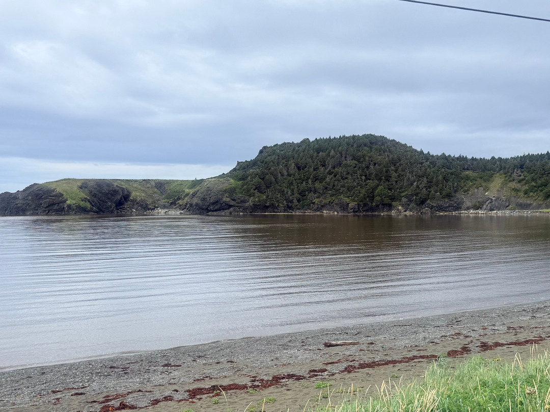 Bottle Cove Beach-Lark Harbour必去景点