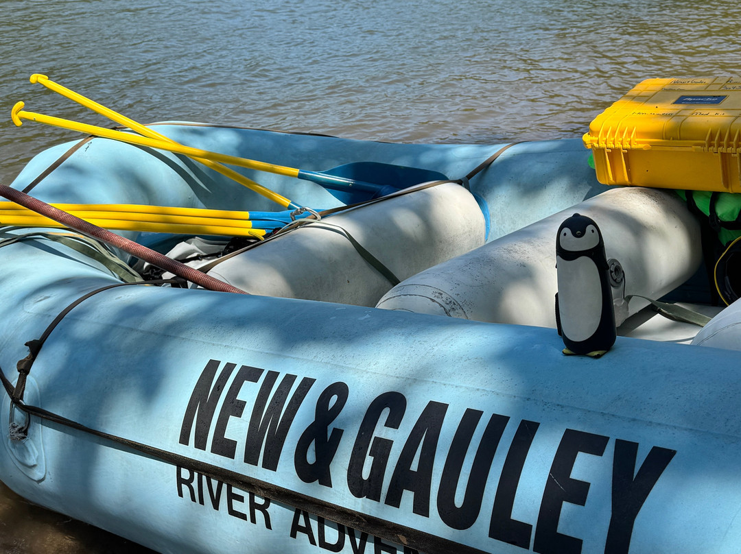 New & Gauley River Adventures-Lansing必去景点