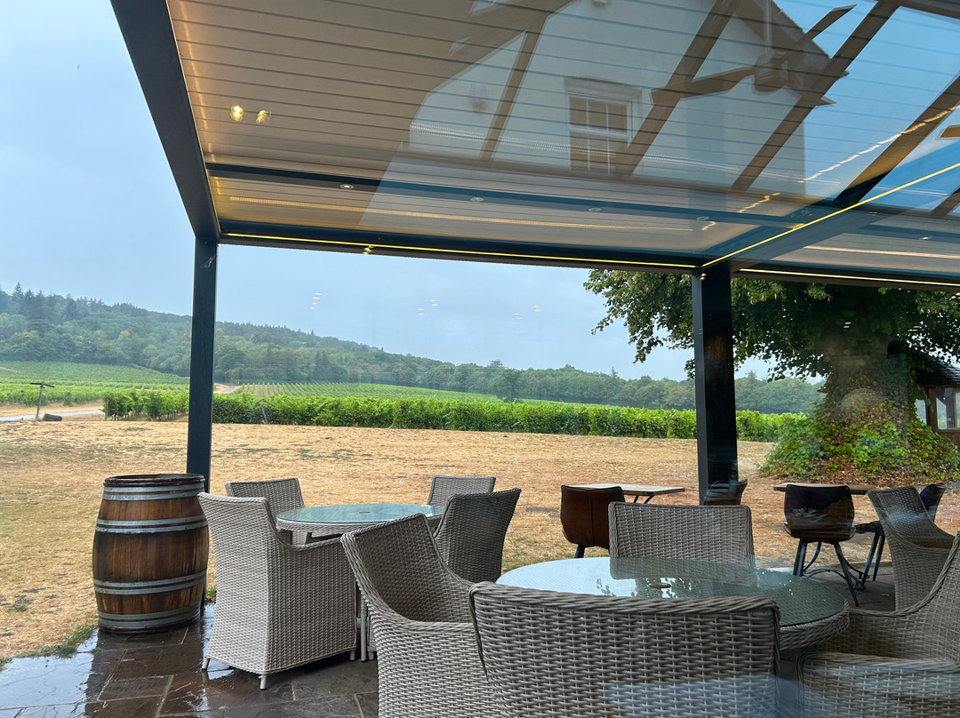 Denbies Wine Estate Ltd-多肯必去景点