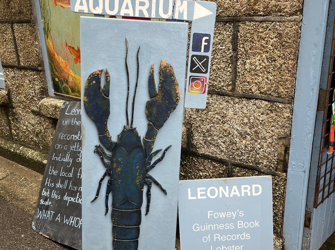 Fowey Aquarium-福伊必去景点