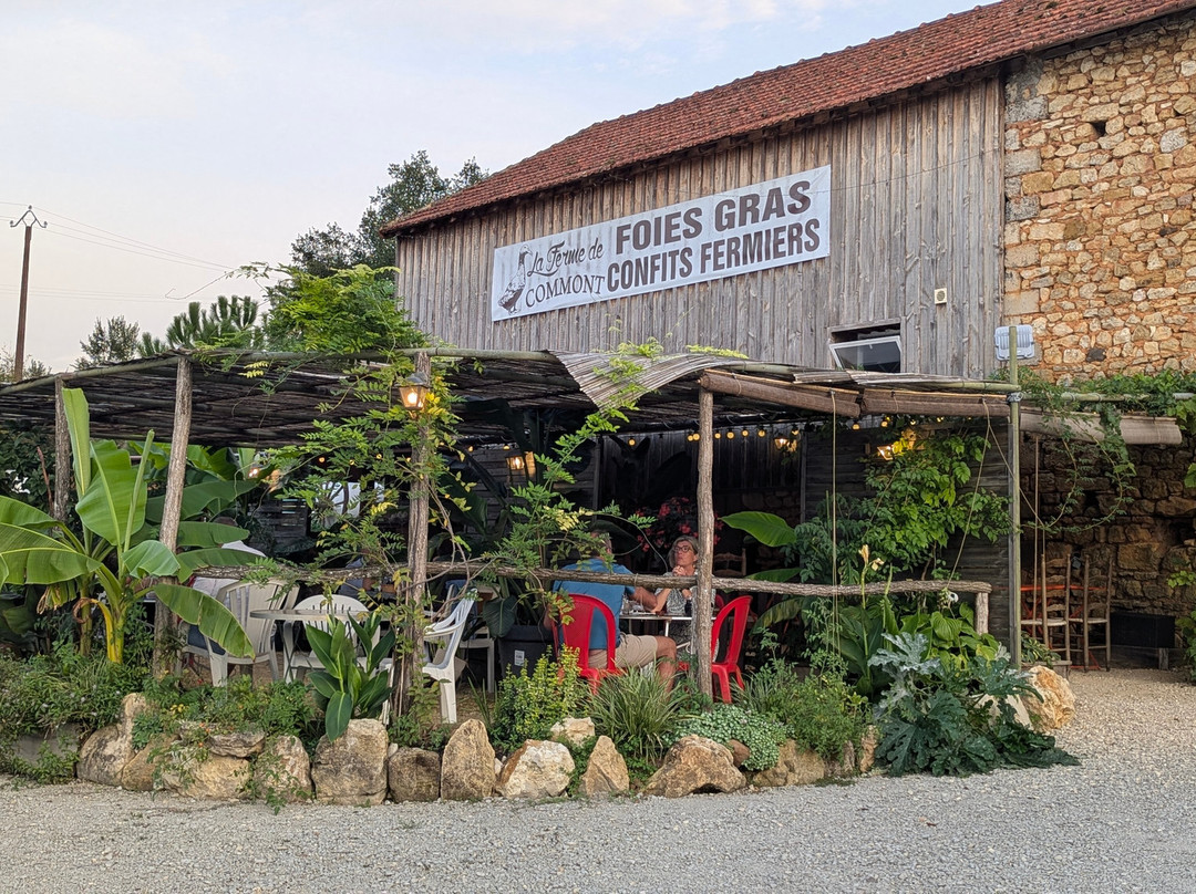 La Ferme De Commont-Cenac-et-Saint-Julien必去景点