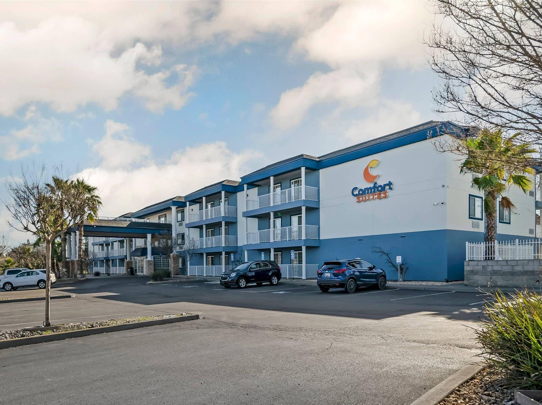 雷德布拉夫酒店住宿-Comfort Suites Red Bluff Near I-5
