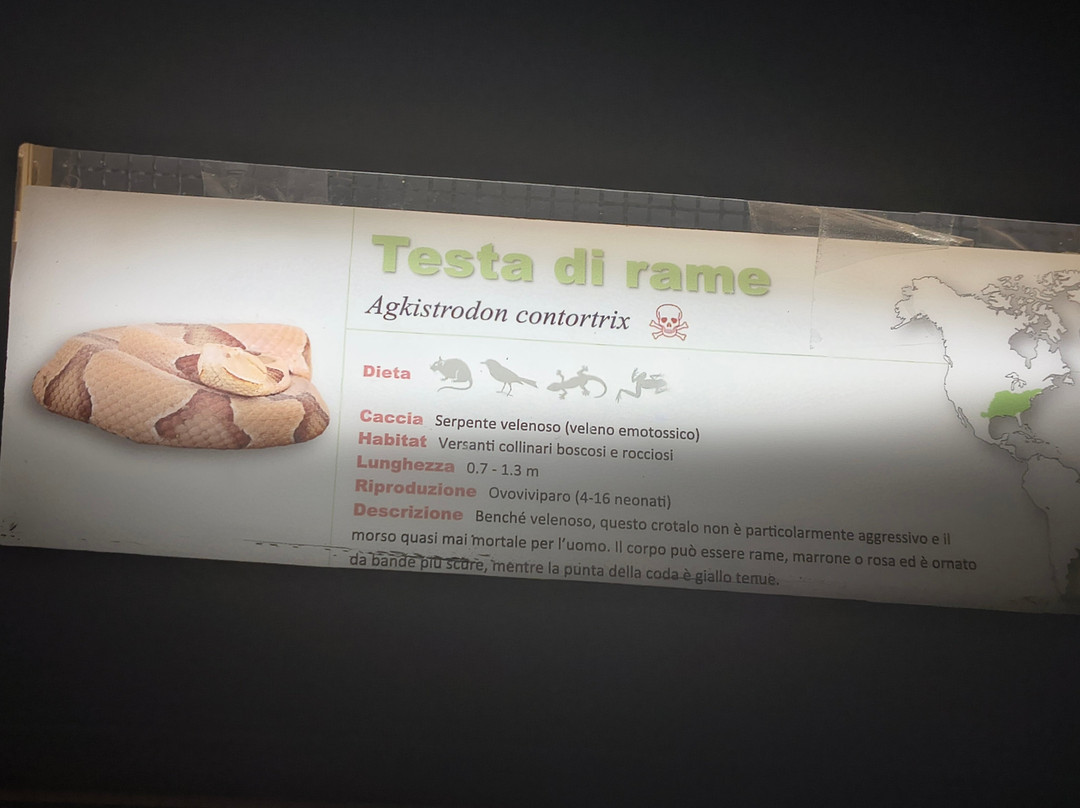 Città Della Domenica-佩鲁贾必去景点