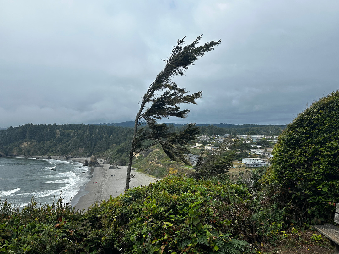 Trinidad State Beach-Trinidad必去景点