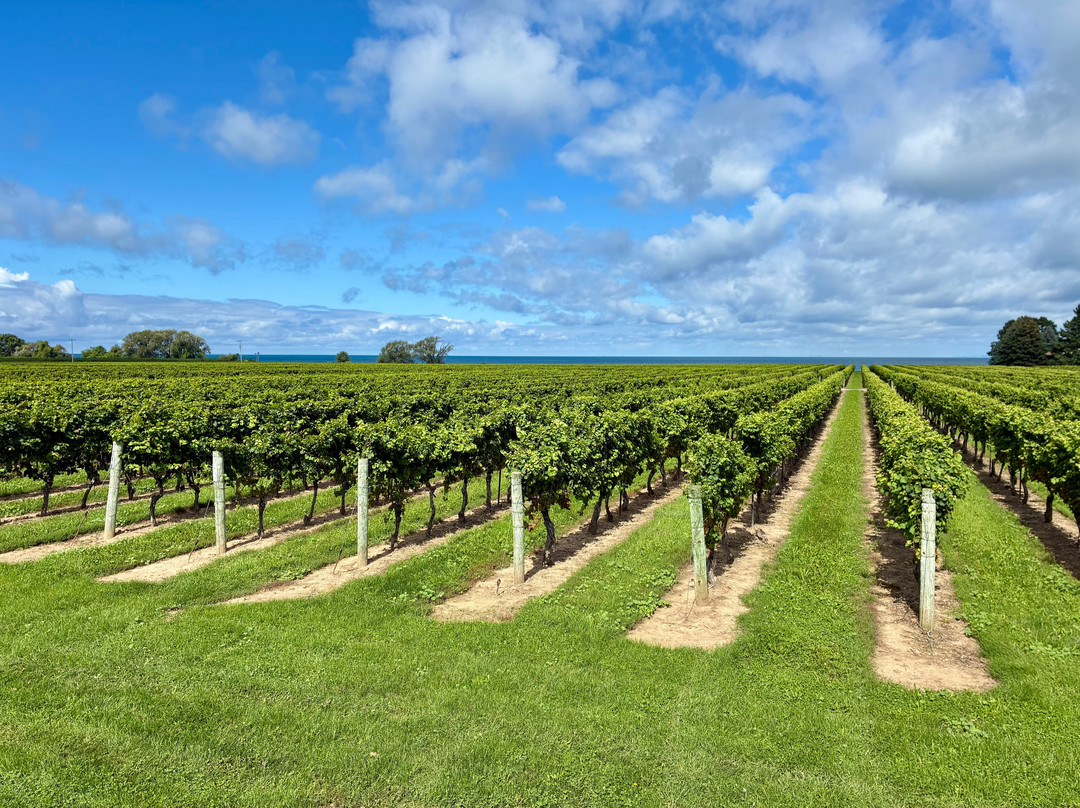 Konzelmann Estate Winery-滨湖尼亚加拉必去景点