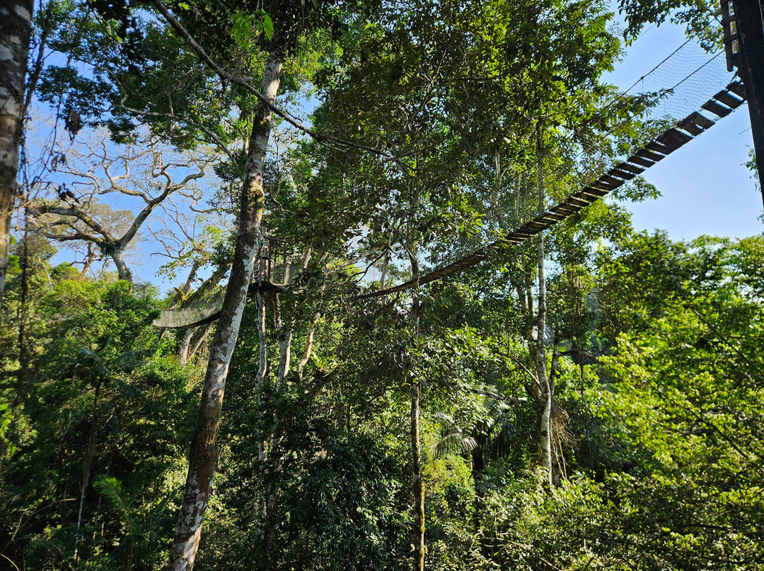 Tambopata Wild-Tambopata National Reserve必去景点