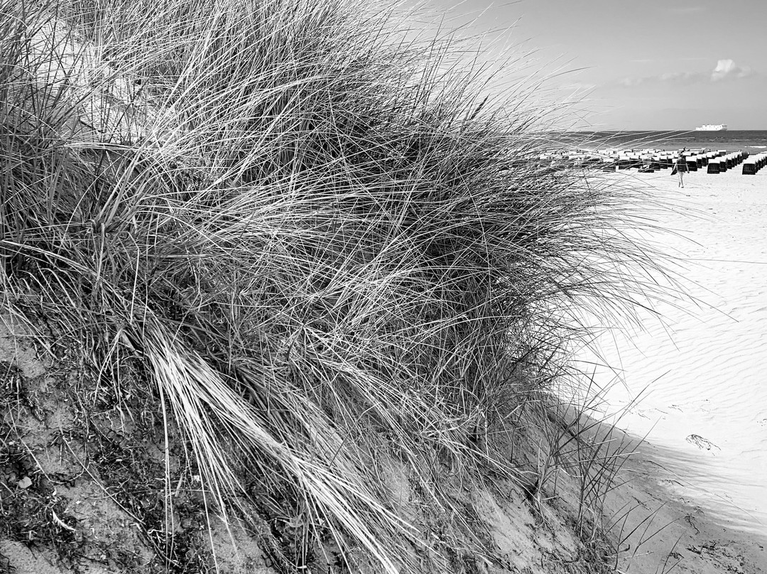 Strand Warnemünde-瓦勒慕必去景点