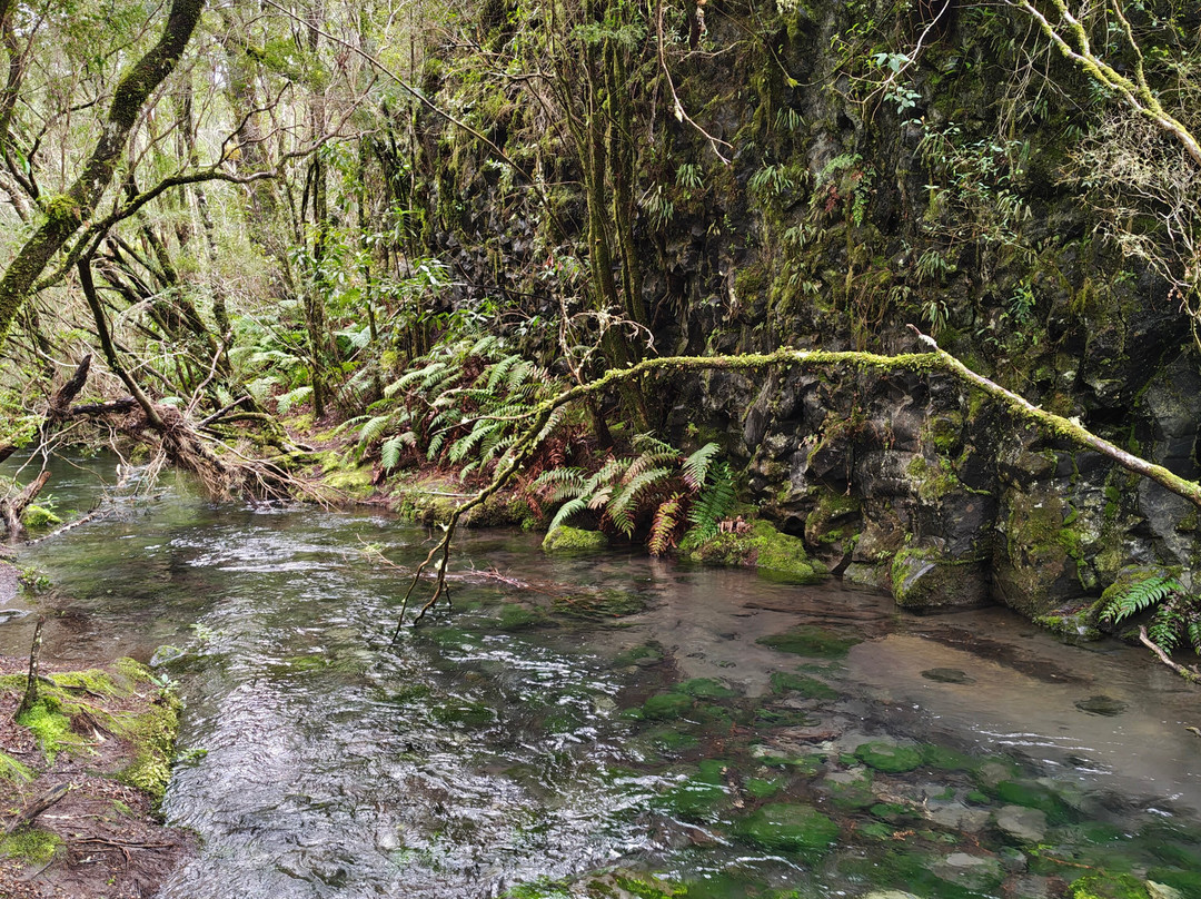 Saltos del Petrohue-巴拉斯港必去景点