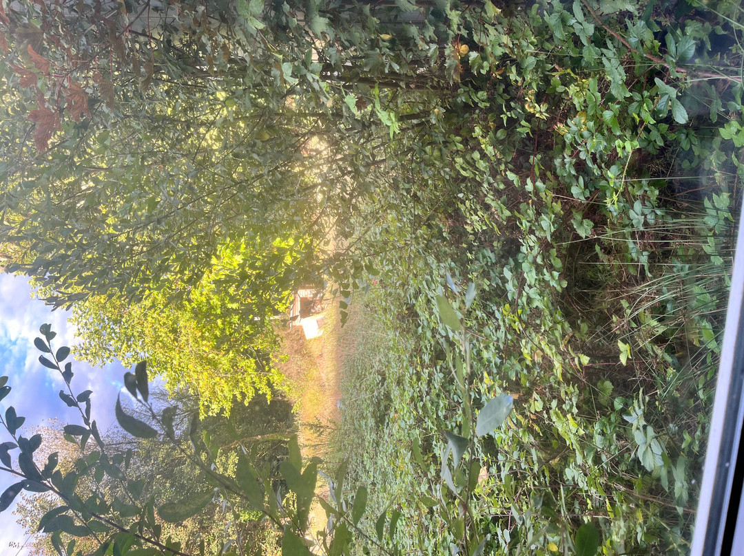 巴顿门农场旅馆主图