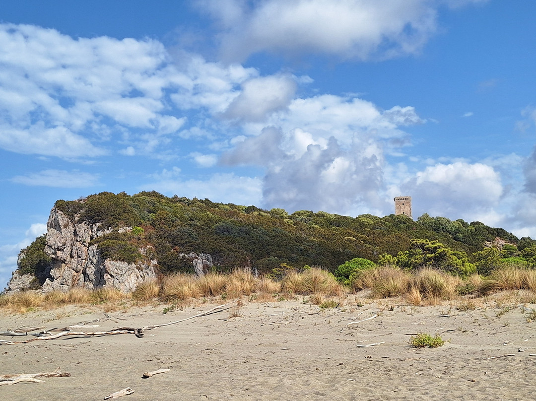 Carrozze di Maremma-Alberese必去景点