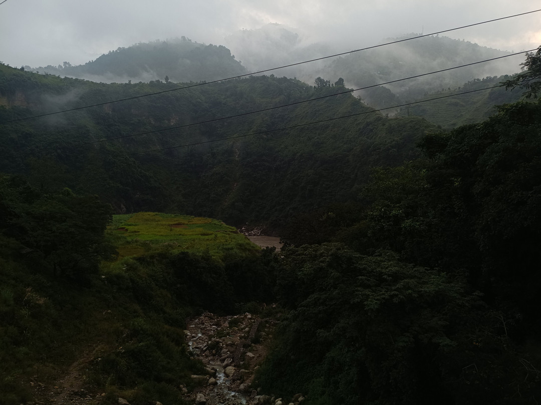 Himalayas Griffon-阿姆利则必去景点