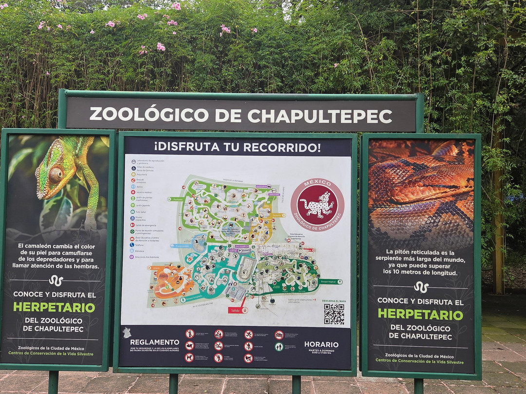 Zoológico de Chapultepec-墨西哥城必去景点