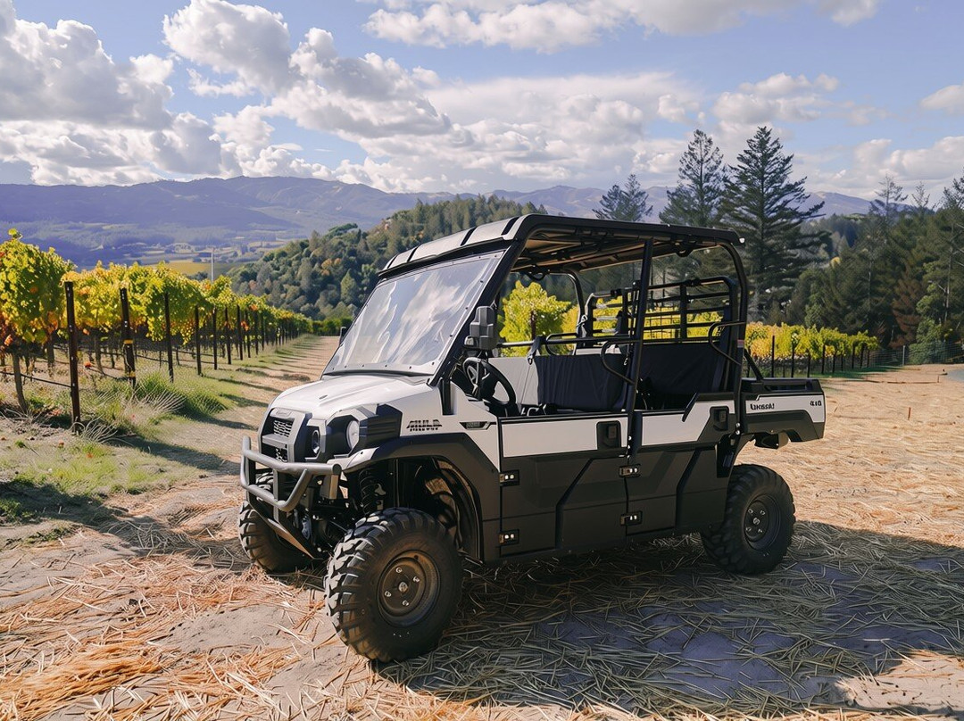 Rutherford Hill Winery-拉瑟福德必去景点
