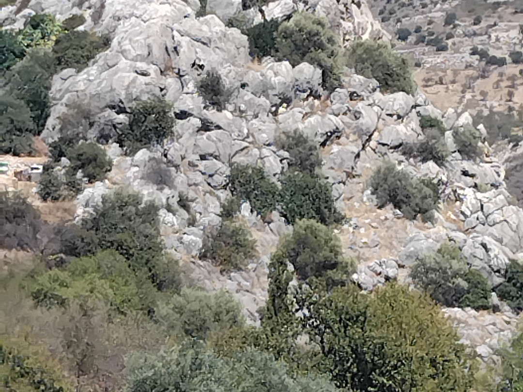 Episkopi Pafos Environmental Information Centre-Episkopi必去景点