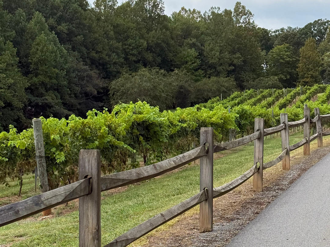 JOLO Winery & Vineyards-Pilot Mountain必去景点