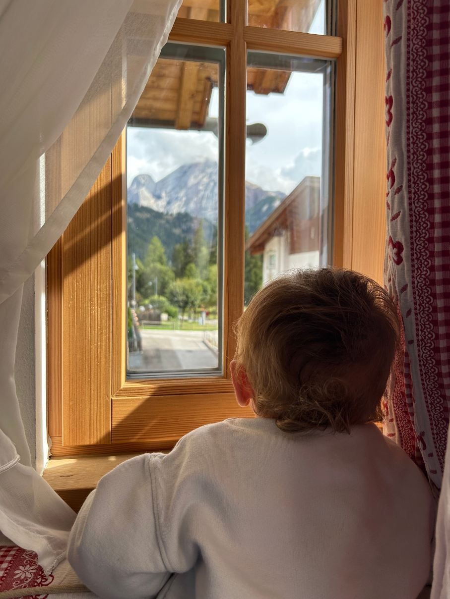 Hotel Gries-旅行者
