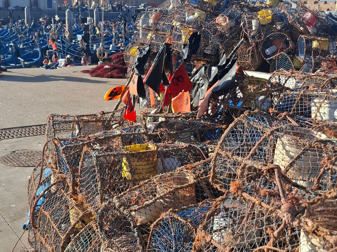 Fish Market-索维拉必去景点