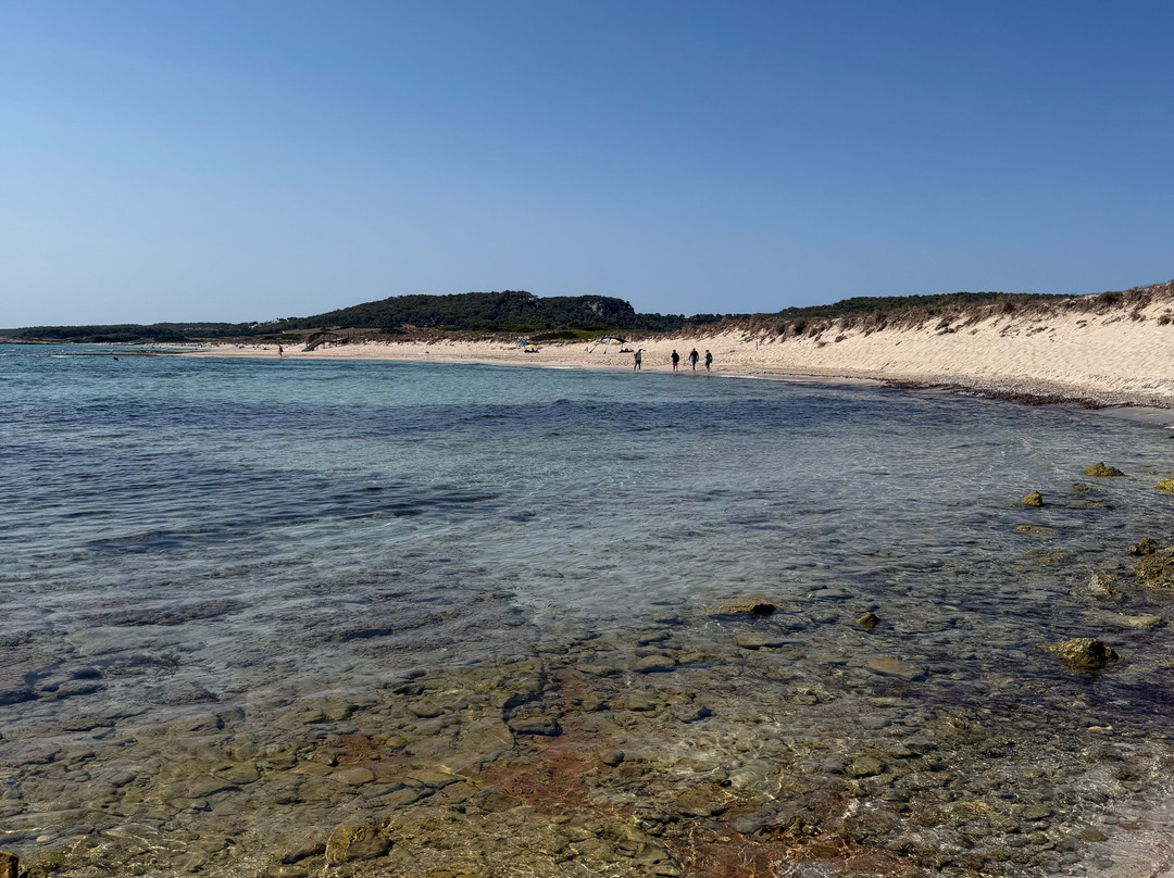 Playa de Son Bou-阿拉约尔必去景点