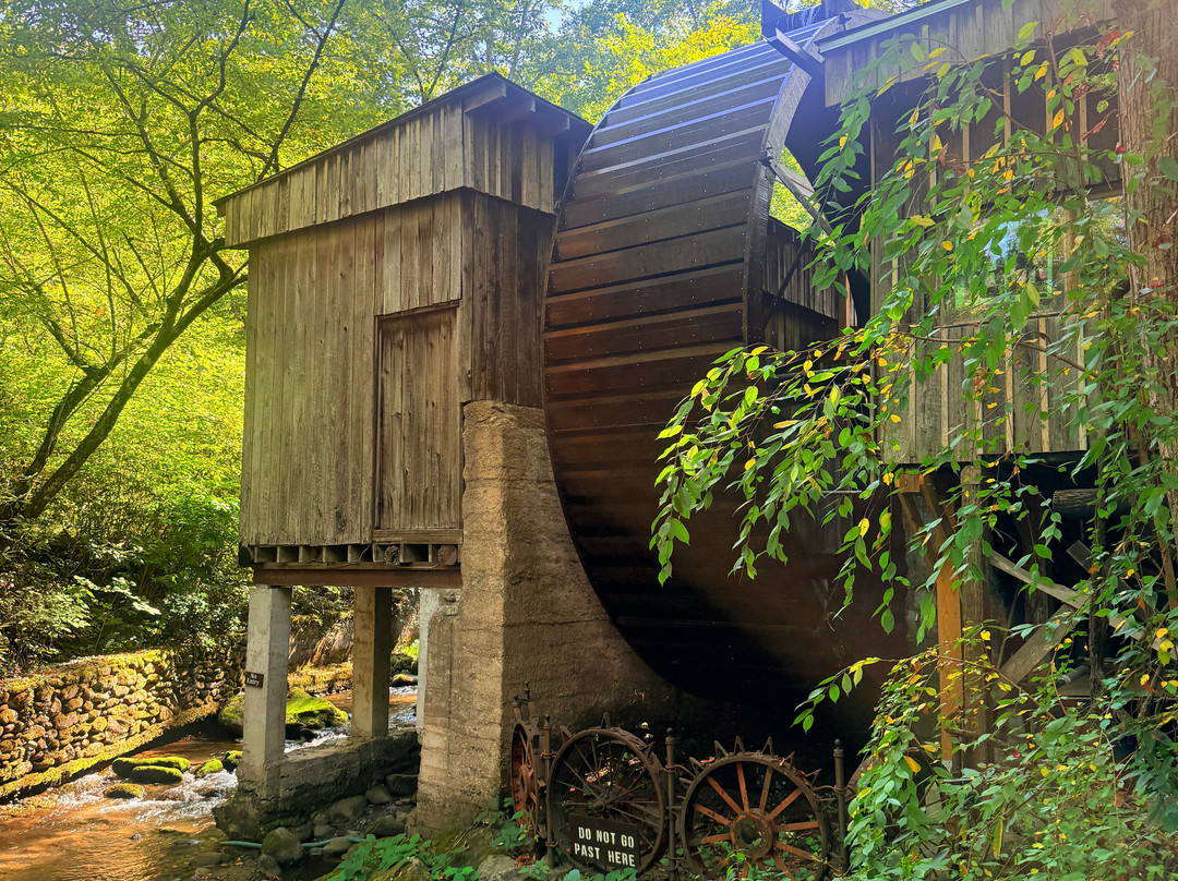 Roaring Fork Motor Nature Trail-大雾山国家公园必去景点