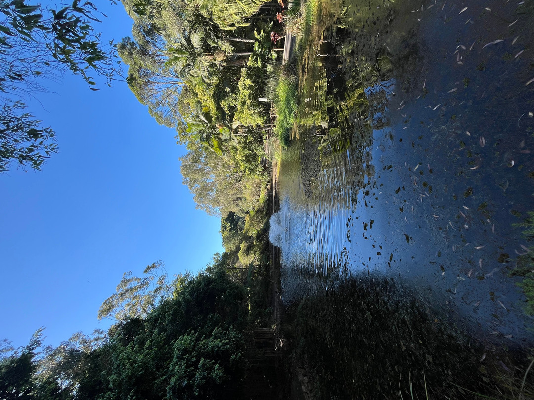 Noosa Botanic Gardens-Cooroy必去景点