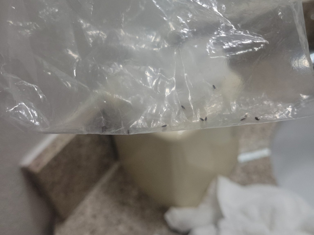 奥马哈I-80西南舒适酒店主图
