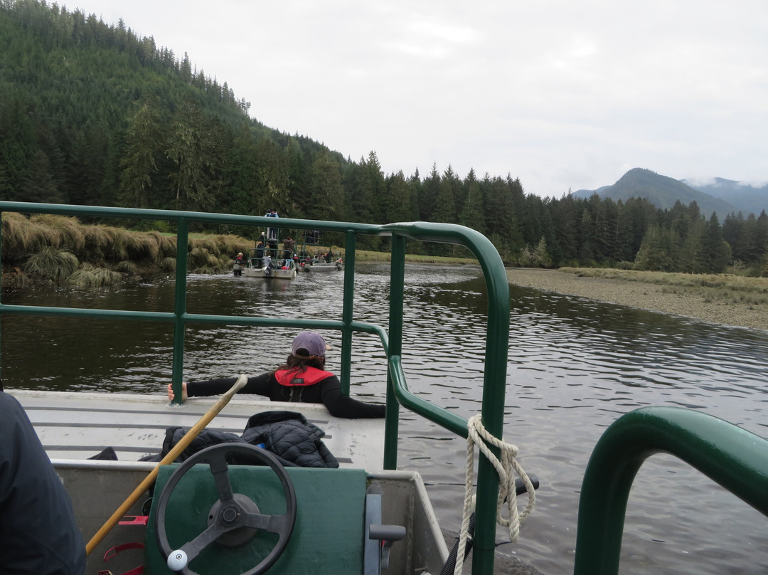 Tide Rip Grizzly Tours-Telegraph Cove必去景点