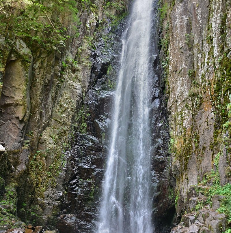 Cascata del Lupo-Bedollo必去景点