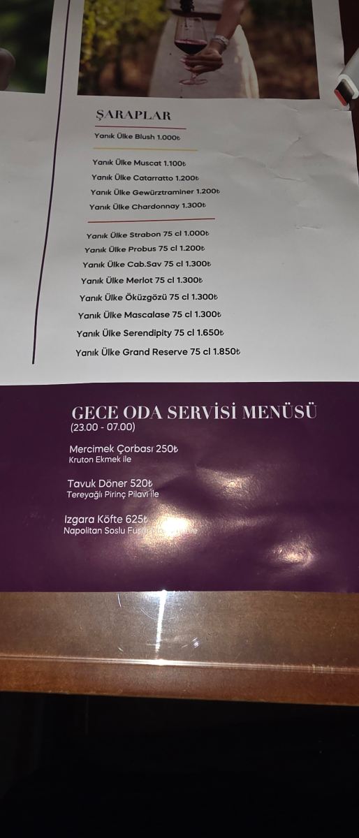 安尼蒙酒店-埃斯基谢希尔-旅行者