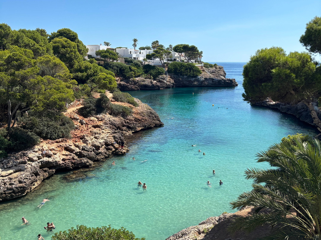 AluaSoul Mallorca Resort - Adults Only主图