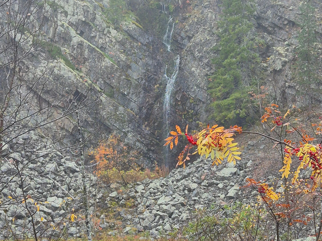 Call of the Wilderness - Activities & Tours-Pyhatunturi必去景点