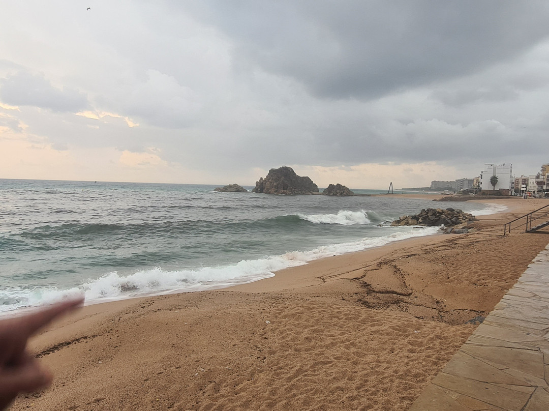 Playa de S'Abanell-布拉内斯必去景点