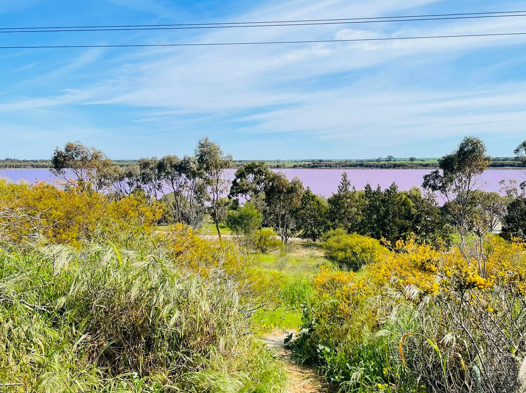 Pink Lake-Dimboola必去景点