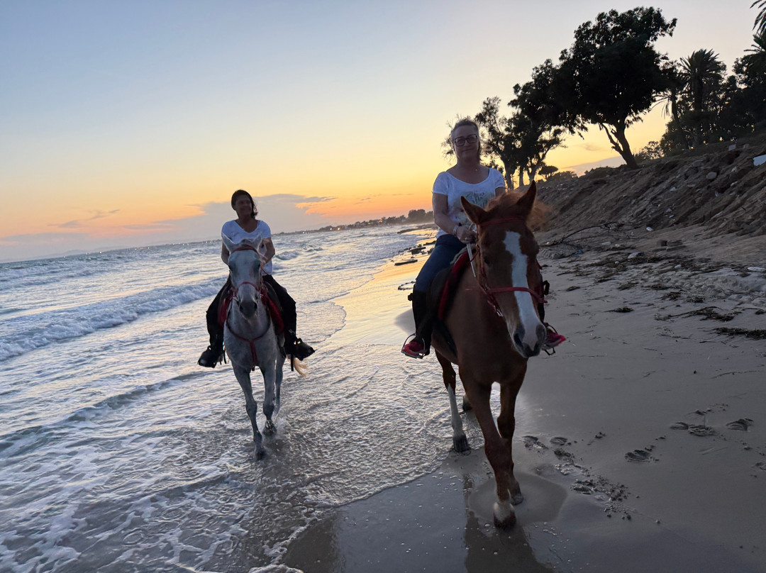 Club Equus Hammamet