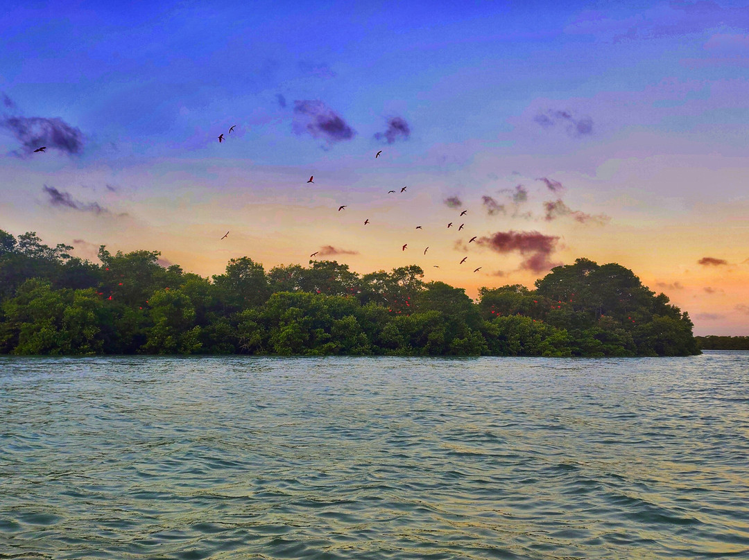 Guará Transfer & Tourism - Barra Grande-Barra Grande必去景点