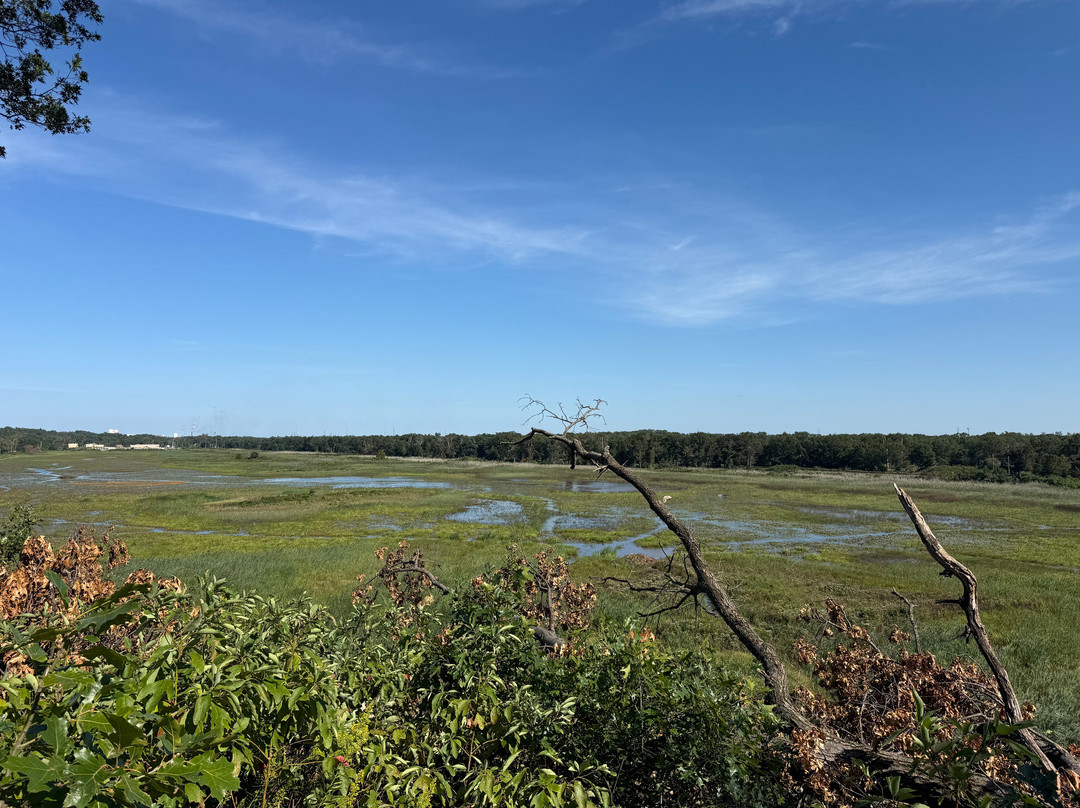 Indiana Dunes National Park-Porter必去景点