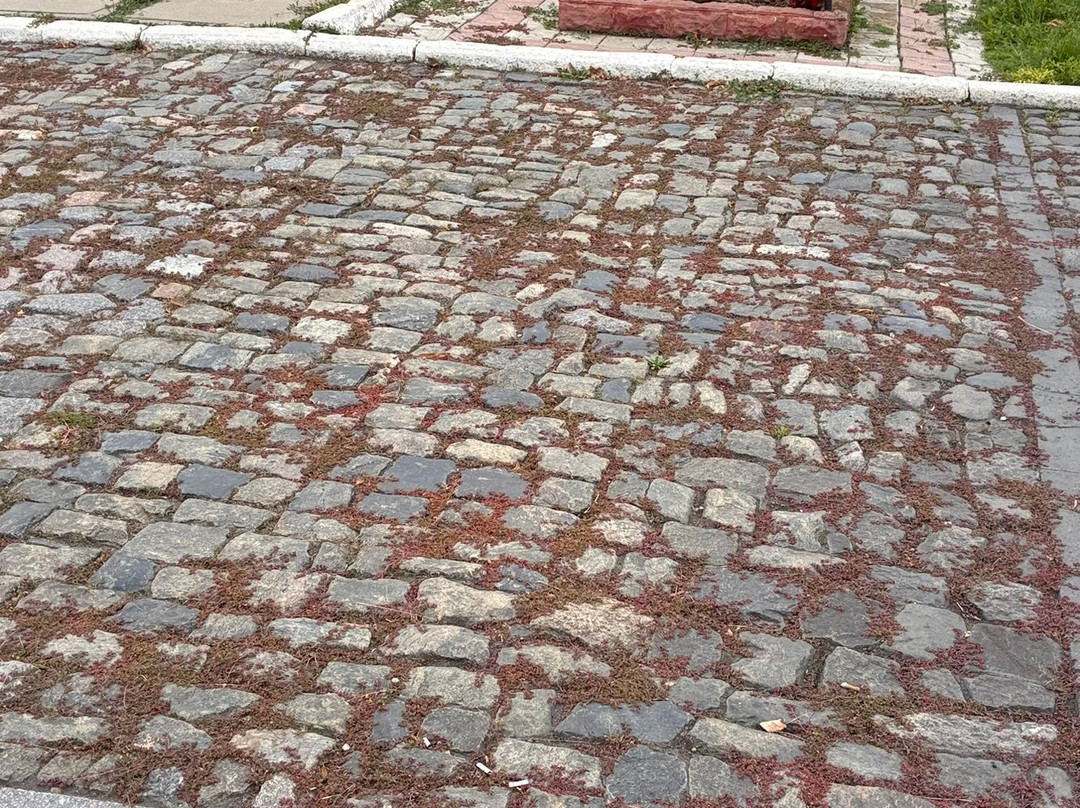 Monument To Russian Glory-Bender必去景点