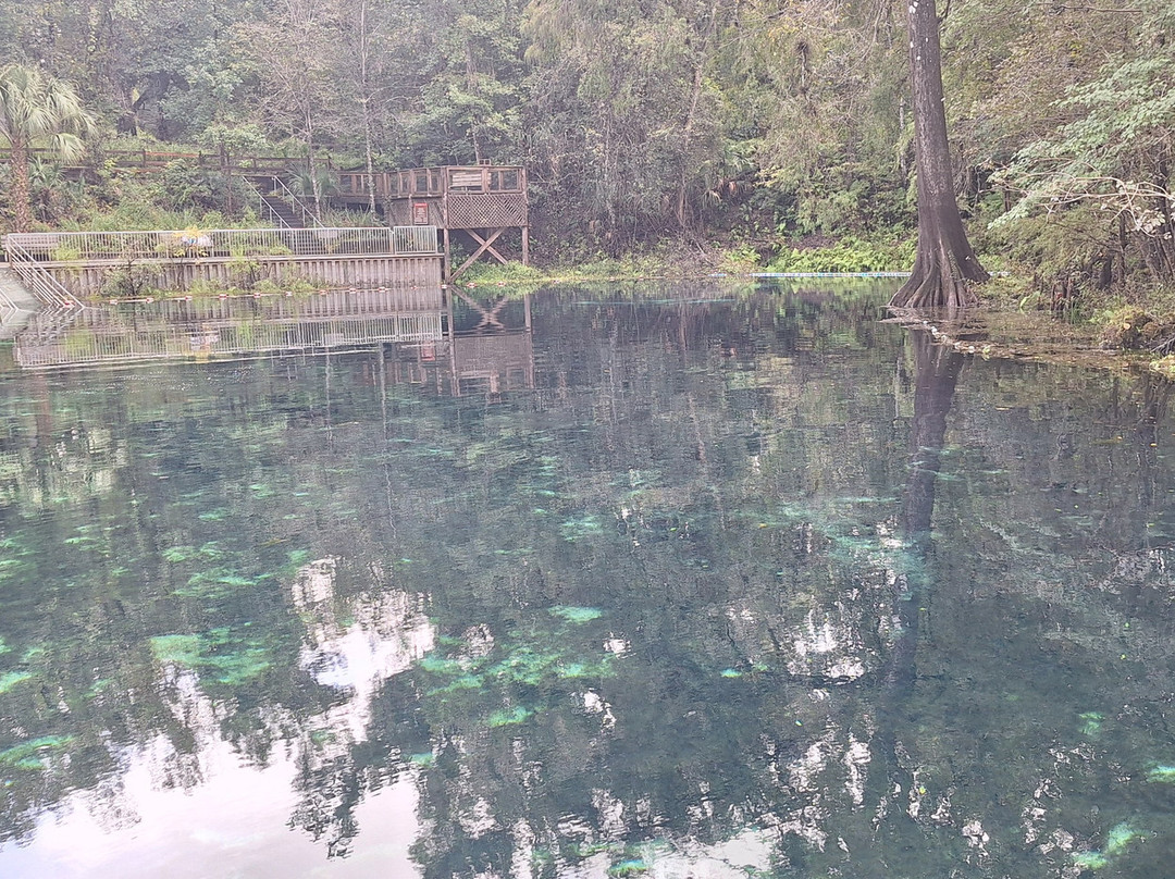Fanning Springs State Park-Fanning Springs必去景点