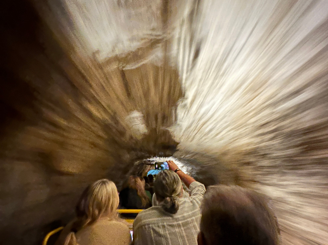 Postojna Cave-波斯托伊纳必去景点