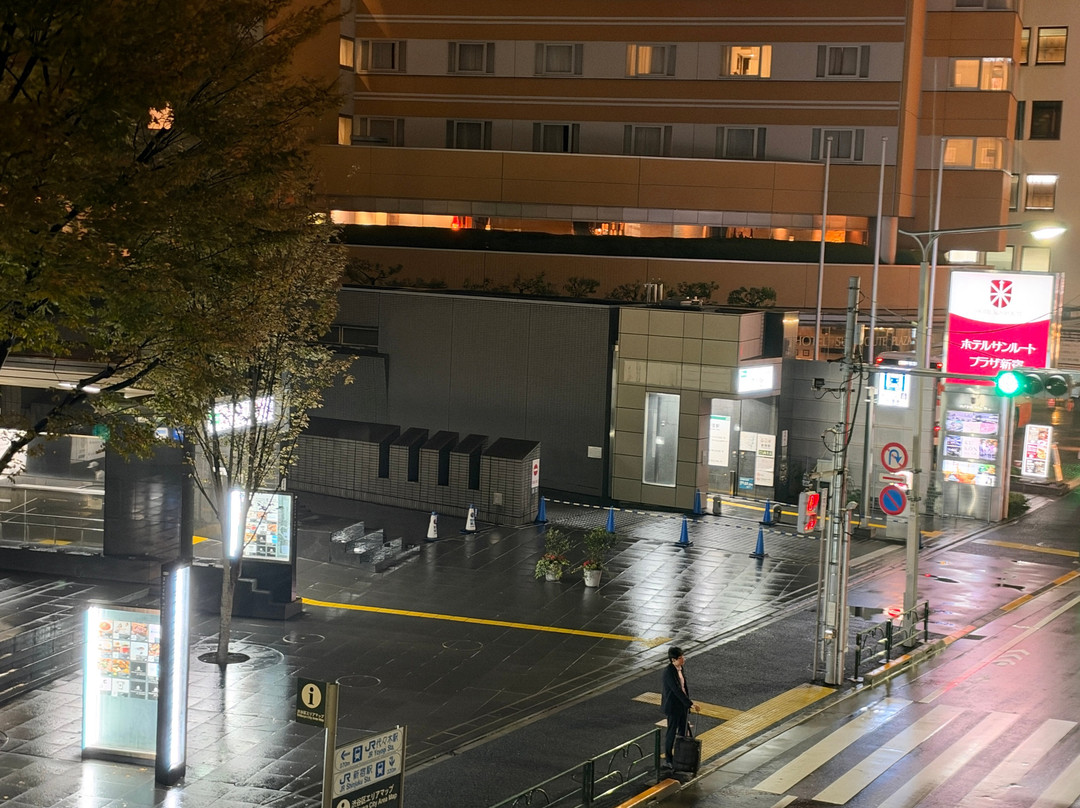 新宿灿路都广场大饭店主图