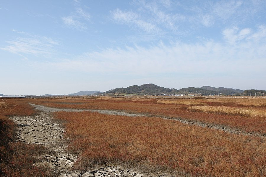 Taepyeong Yeomsaeng Botanical Garden