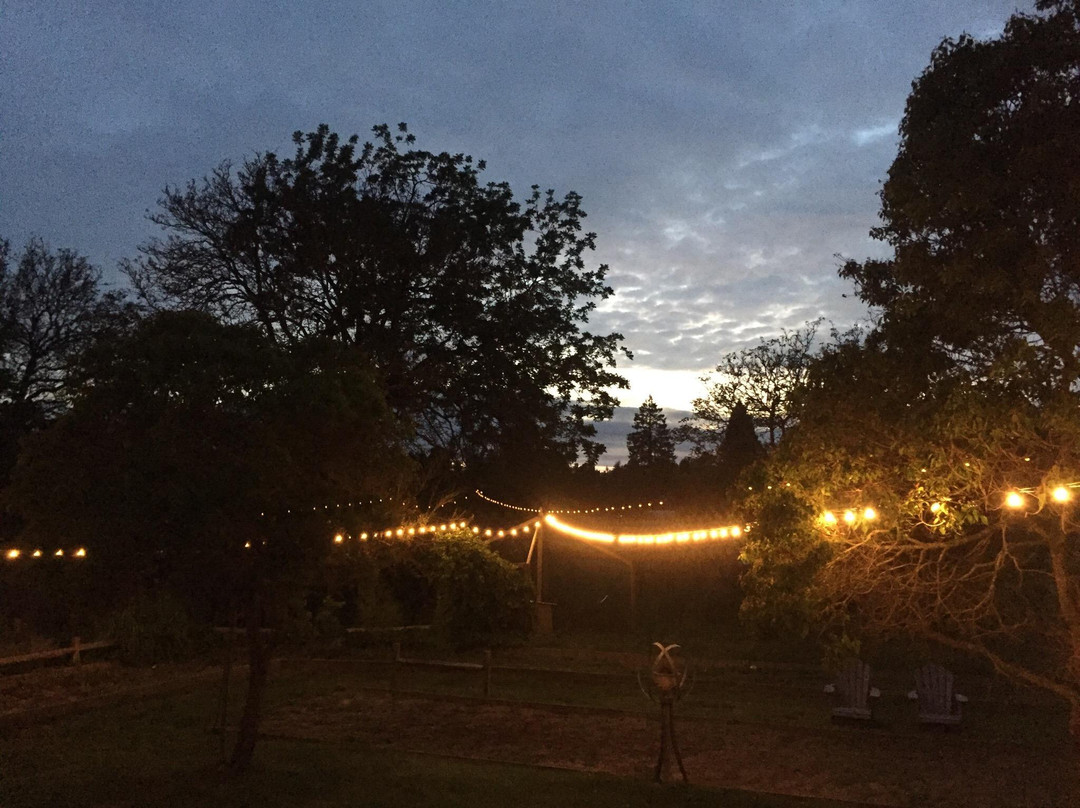 Pearlessence Vineyard Inn