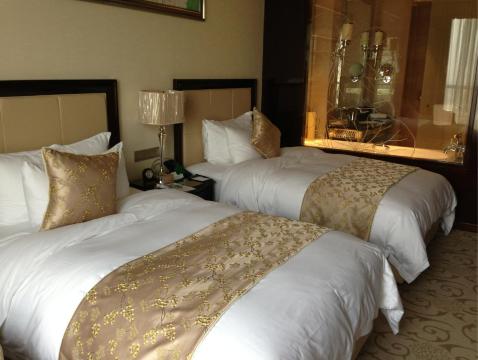 靖江金悦国际酒店-客卧