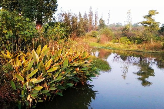 杭州森林公园-杭州市必去景点