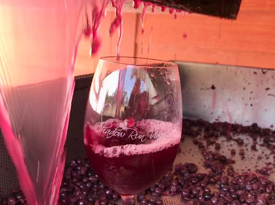 Shadow Run Vineyards & Winery