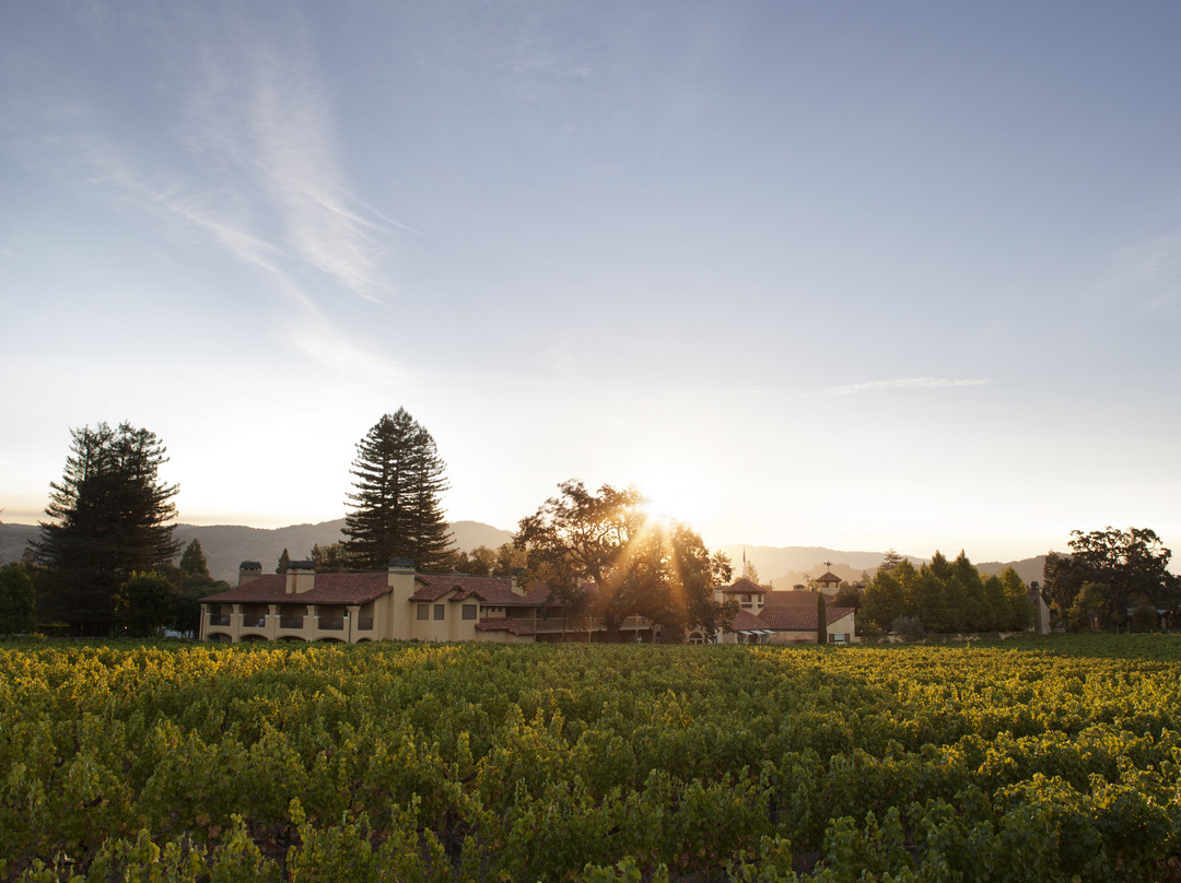 纳帕谷小屋酒店