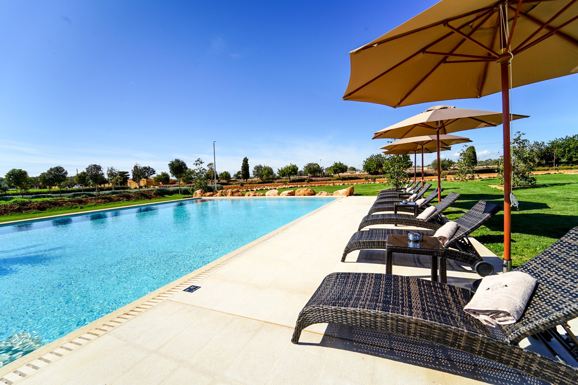 VMG Horse Ranch-官方