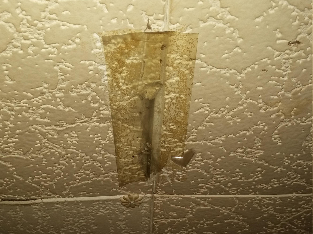 Holiday Motel Waynesburg