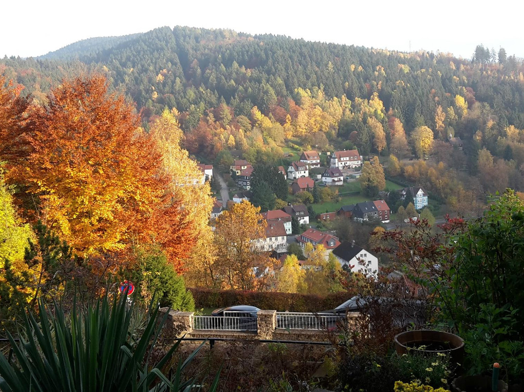 Bad Grund酒店住宿-Pension Talblick